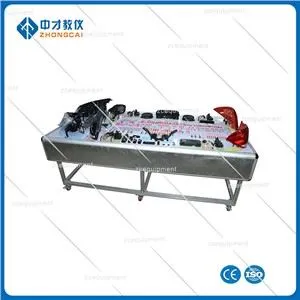 Auto Car Lighting Teaching System