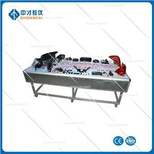 Automotive Basic Electric Circuit Trainer