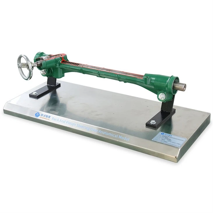 Automotive Component Cutaway Training Model best